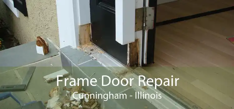 Frame Door Repair Cunningham - Illinois