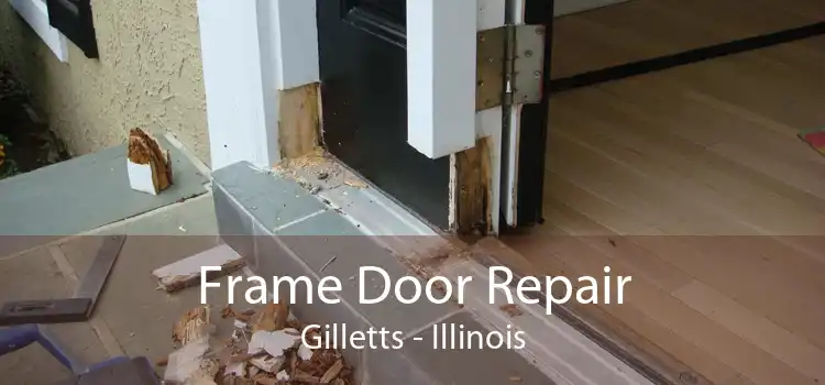 Frame Door Repair Gilletts - Illinois