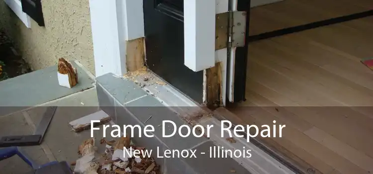 Frame Door Repair New Lenox - Illinois