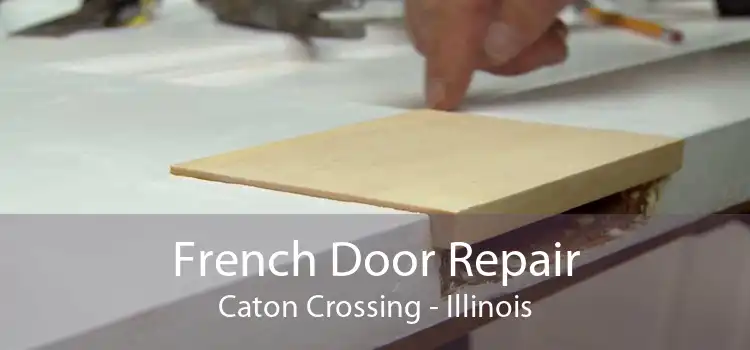 French Door Repair Caton Crossing - Illinois