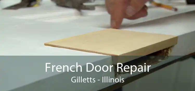 French Door Repair Gilletts - Illinois