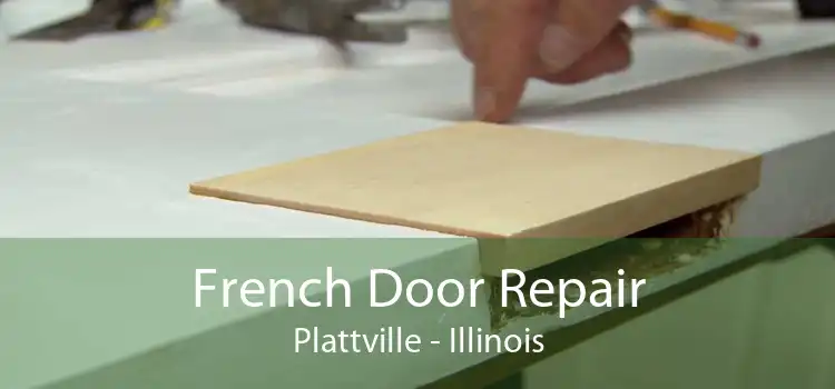 French Door Repair Plattville - Illinois