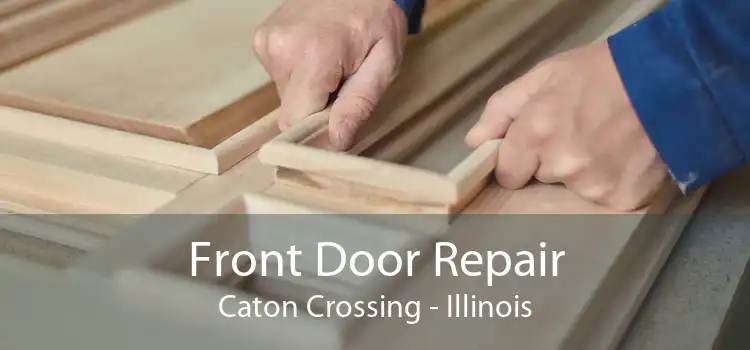 Front Door Repair Caton Crossing - Illinois