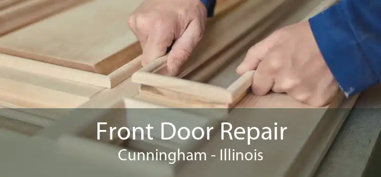 Front Door Repair Cunningham - Illinois