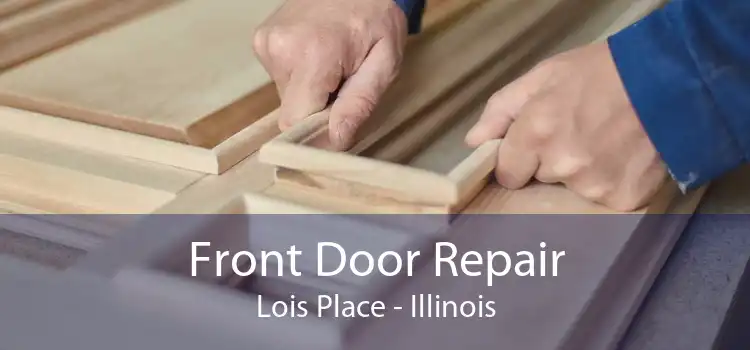 Front Door Repair Lois Place - Illinois