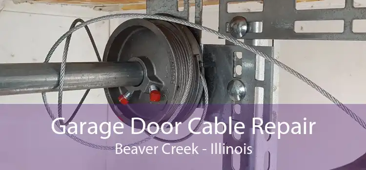 Garage Door Cable Repair Beaver Creek - Illinois