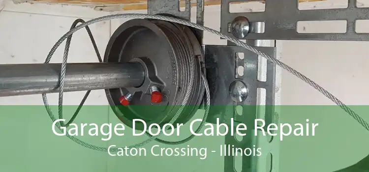 Garage Door Cable Repair Caton Crossing - Illinois