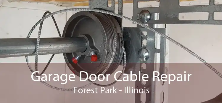 Garage Door Cable Repair Forest Park - Illinois