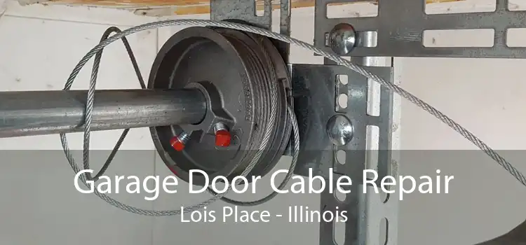 Garage Door Cable Repair Lois Place - Illinois