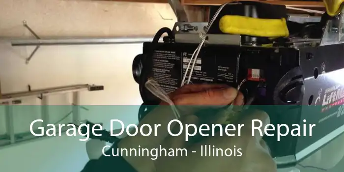 Garage Door Opener Repair Cunningham - Illinois