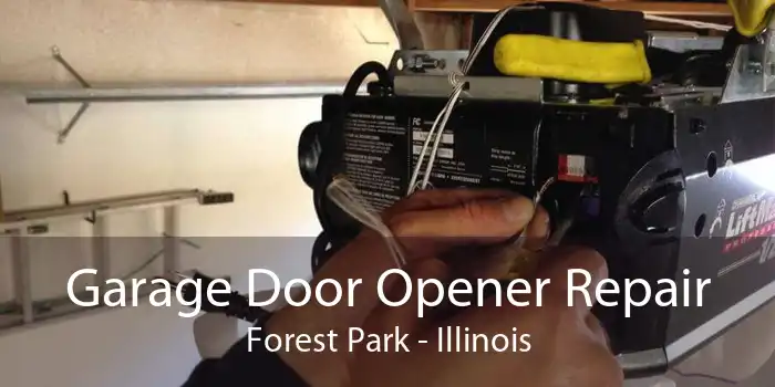 Garage Door Opener Repair Forest Park - Illinois