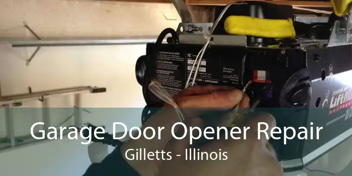 Garage Door Opener Repair Gilletts - Illinois