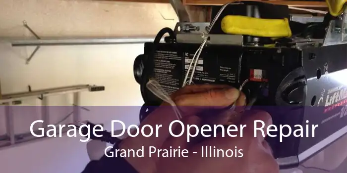 Garage Door Opener Repair Grand Prairie - Illinois