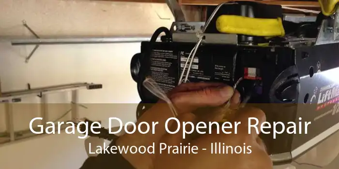 Garage Door Opener Repair Lakewood Prairie - Illinois