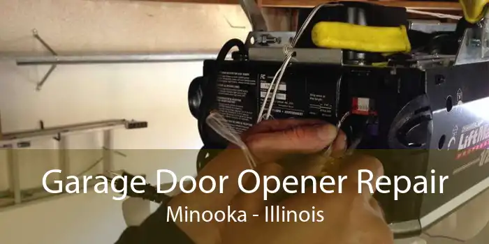 Garage Door Opener Repair Minooka - Illinois