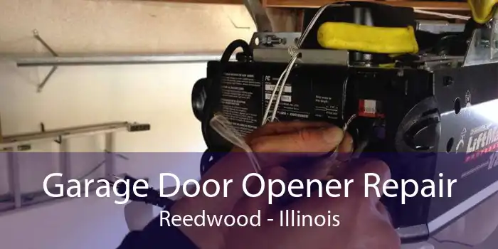 Garage Door Opener Repair Reedwood - Illinois