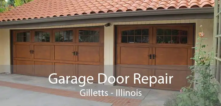 Garage Door Repair Gilletts - Illinois