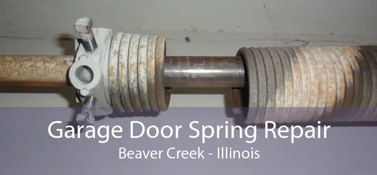 Garage Door Spring Repair Beaver Creek - Illinois