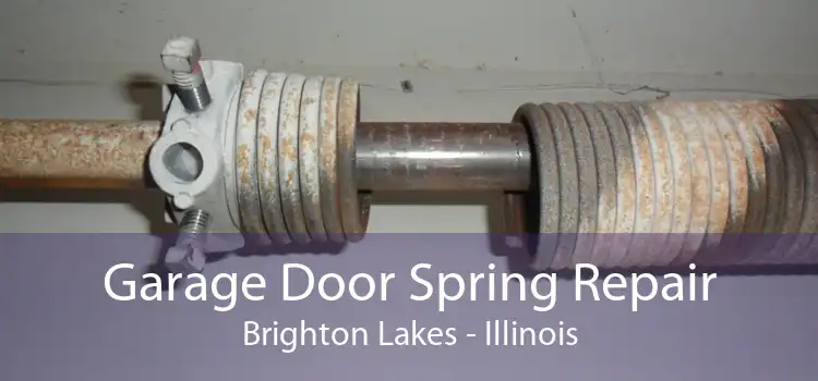 Garage Door Spring Repair Brighton Lakes - Illinois