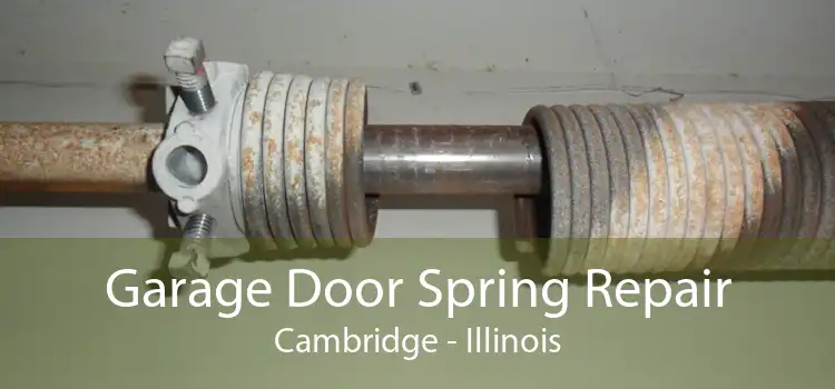 Garage Door Spring Repair Cambridge - Illinois