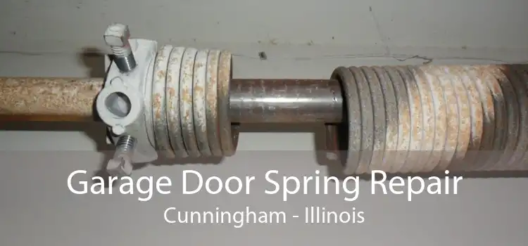 Garage Door Spring Repair Cunningham - Illinois