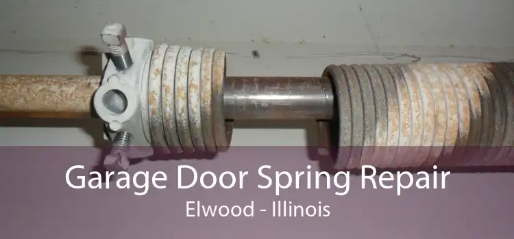 Garage Door Spring Repair Elwood - Illinois