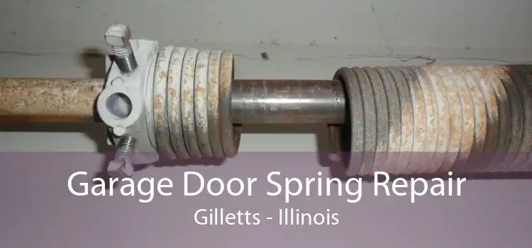 Garage Door Spring Repair Gilletts - Illinois