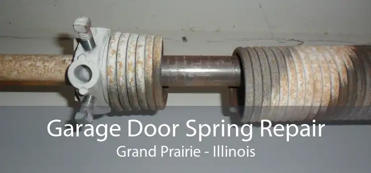 Garage Door Spring Repair Grand Prairie - Illinois