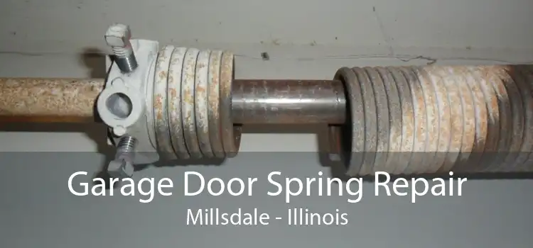 Garage Door Spring Repair Millsdale - Illinois