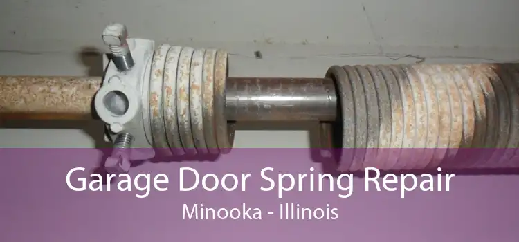 Garage Door Spring Repair Minooka - Illinois