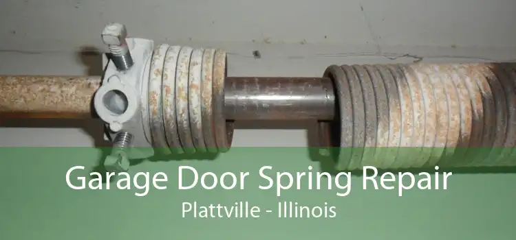 Garage Door Spring Repair Plattville - Illinois