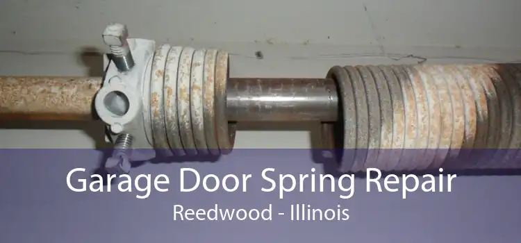 Garage Door Spring Repair Reedwood - Illinois