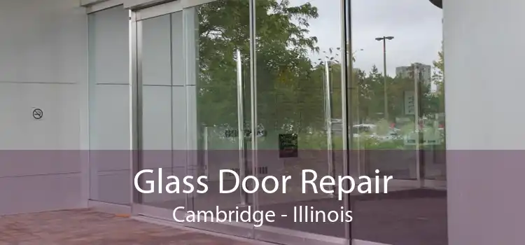 Glass Door Repair Cambridge - Illinois