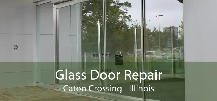 Glass Door Repair Caton Crossing - Illinois