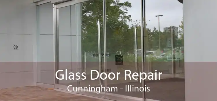 Glass Door Repair Cunningham - Illinois