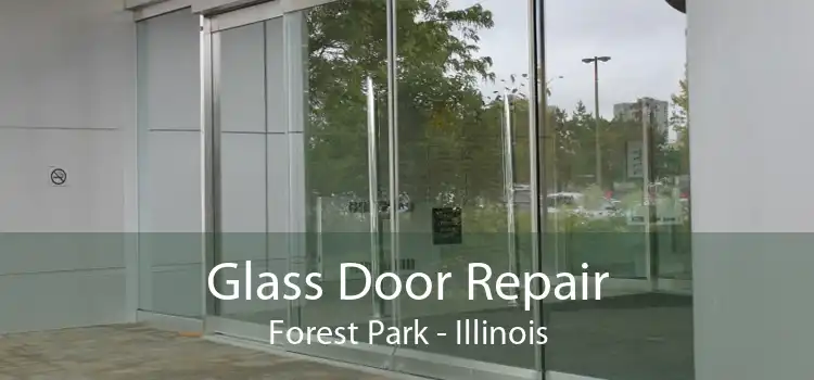 Glass Door Repair Forest Park - Illinois