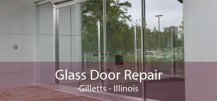 Glass Door Repair Gilletts - Illinois