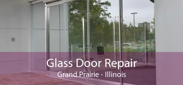 Glass Door Repair Grand Prairie - Illinois