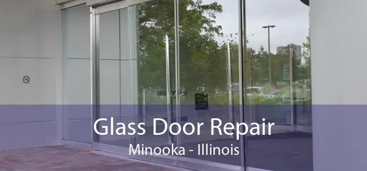 Glass Door Repair Minooka - Illinois