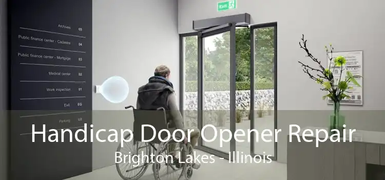 Handicap Door Opener Repair Brighton Lakes - Illinois