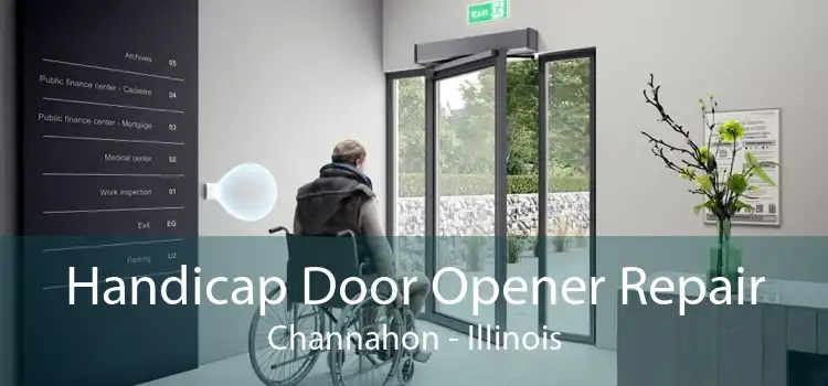 Handicap Door Opener Repair Channahon - Illinois