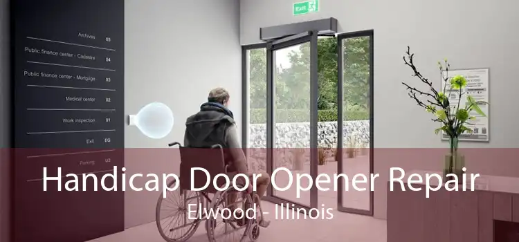 Handicap Door Opener Repair Elwood - Illinois