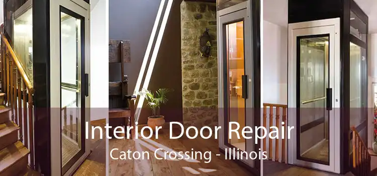 Interior Door Repair Caton Crossing - Illinois