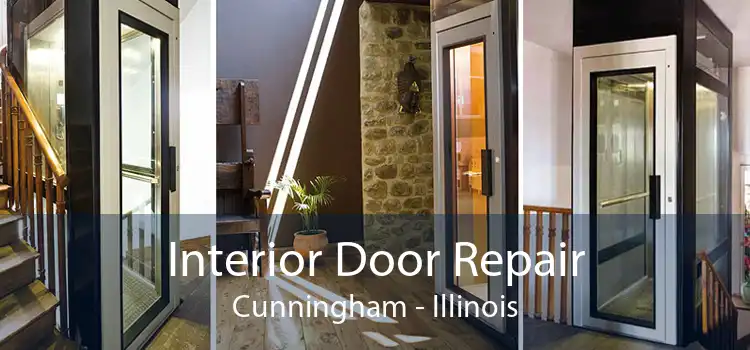 Interior Door Repair Cunningham - Illinois