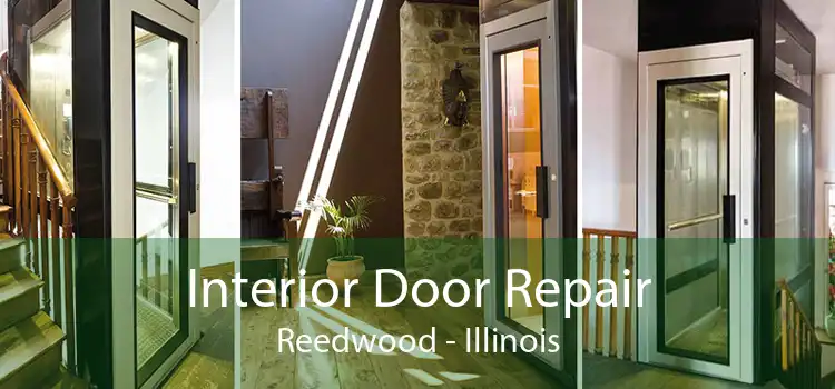 Interior Door Repair Reedwood - Illinois