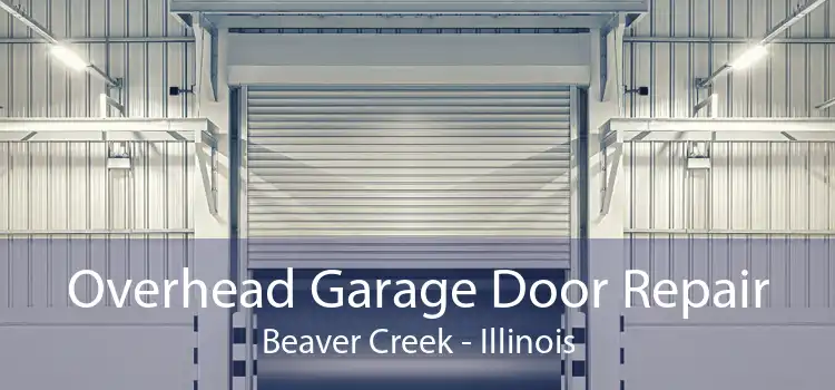 Overhead Garage Door Repair Beaver Creek - Illinois