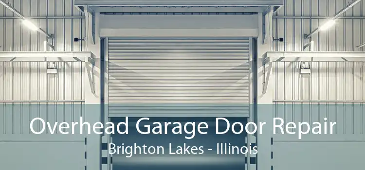 Overhead Garage Door Repair Brighton Lakes - Illinois