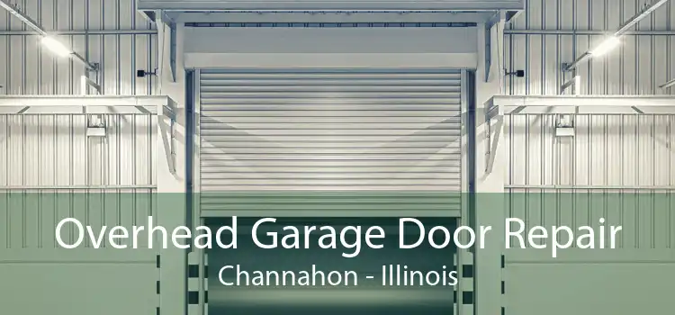 Overhead Garage Door Repair Channahon - Illinois