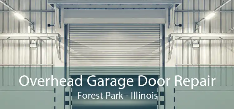 Overhead Garage Door Repair Forest Park - Illinois