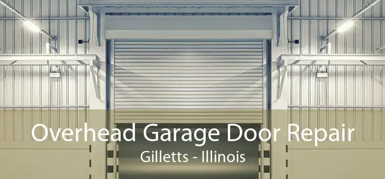 Overhead Garage Door Repair Gilletts - Illinois